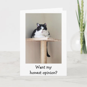 Just For Laughs Katzen-Krebs-Unterstützungskarte Karte