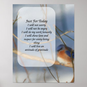 Just For Today Bluebird Inspirational Poster