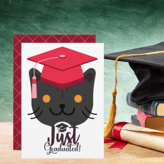 Just Graduated Funny Gray Cat Party Celebration Einladung
