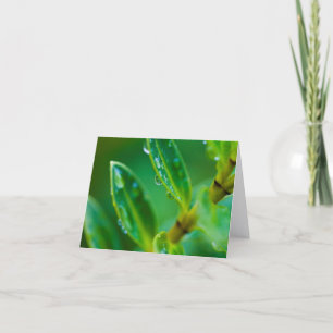 Just Green - Blätter nach dem Regen Grußkarte Dankeskarte