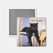 Just Hangin' Magnet (Vorderseite/Rückseite)