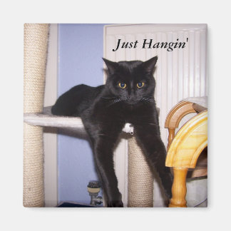 Just Hangin' Magnet