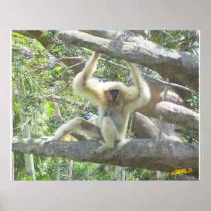 Just Hangin Out Poster