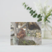 Just Hangin Out Postkarte (Stehend Vorderseite)