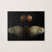 Just Hatched Chick Puzzle (Horizontal)