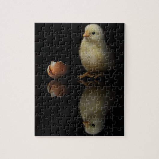 Just Hatched Chick Puzzle (Vertikal)