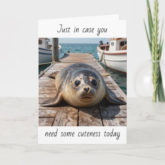 Just in Case You Need some Cuteness Today | Seal Karte (Vorderseite)