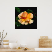 Just Joey Hybrid Tee Rose Poster (Küche)