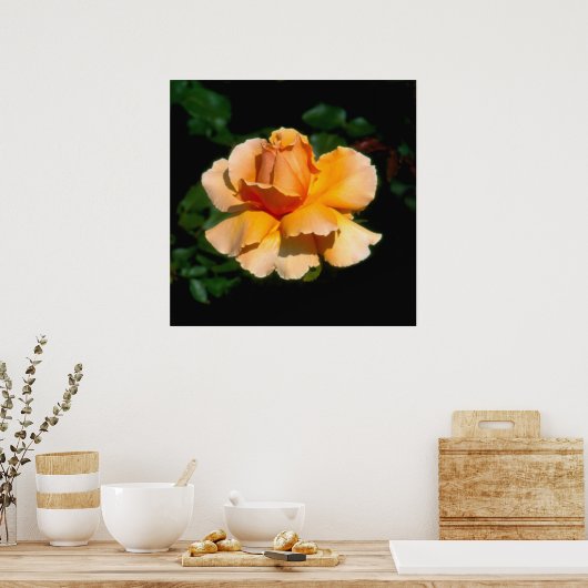 Just Joey Hybrid Tee Rose Poster (Küche)