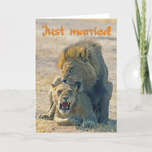 Just Married Ankündigung