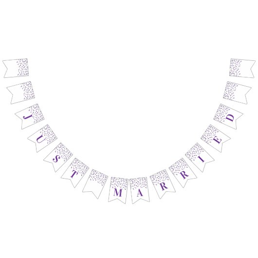 Just Married Banner Lila Silver Confetti (Alle)