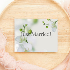 Just Married Soft Elegante Orchid Ankündigung