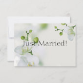 Just Married Soft Elegante Orchid Ankündigung (Vorderseite)