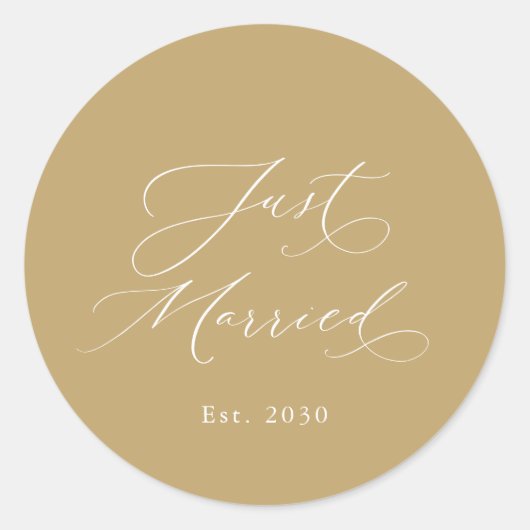 Just Married Wedding Sticker (Vorderseite)