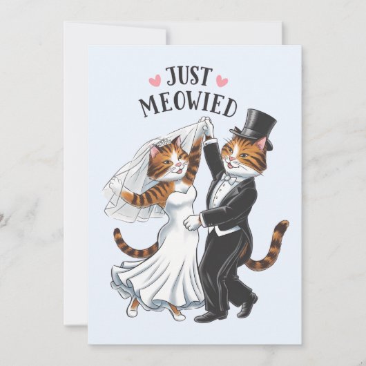 Just Meowied Verheiratete Paare Cat Funny Wedding Einladung (Vorderseite)