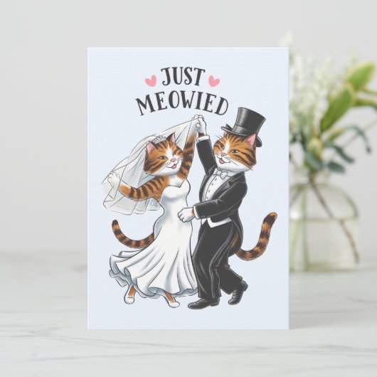 Just Meowied Verheiratete Paare Cat Funny Wedding Einladung (Stehend Vorderseite)