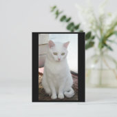 Just Missy Postkarte (Stehend Vorderseite)