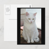 Just Missy Postkarte (Vorne/Hinten)