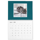 'Just Pawse – 2026' Pet Photo Minimalist Teal Kalender (Mär 2026)