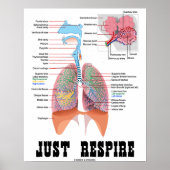 Just Respire (Respiratorisches System) Poster (Vorne)