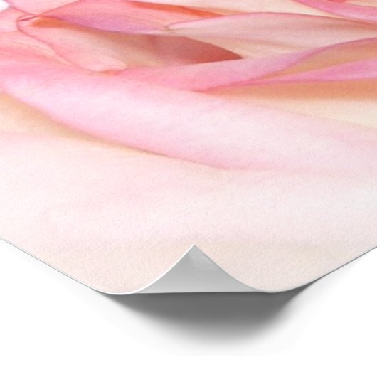 Just Rosey Poster (Ecke)