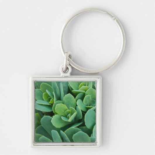 Just Sedum Schlüsselanhänger (Vorne)
