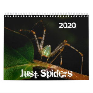 Just Spiders Kalender, 2020 Kalender