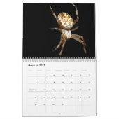 Just Spiders Kalender, 2020 Kalender (Mär 2027)