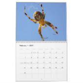 Just Spiders Kalender, 2020 Kalender (Feb 2027)