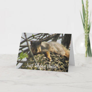 Just Sprichwort Hallo Niedliches Eichhörnchen in T Karte