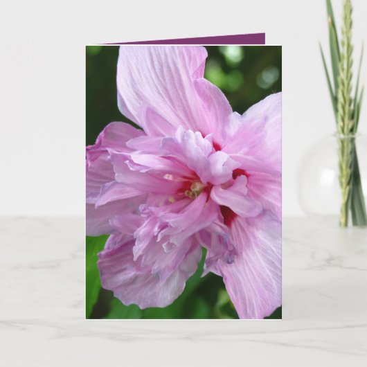 Just Sprichwort Hello Blume Grußkarte Karte (Vorderseite)