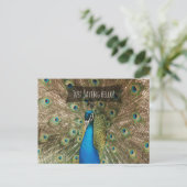 Just Sprichwort Hello Bold Peacock Foto Freundlich Postkarte (Stehend Vorderseite)