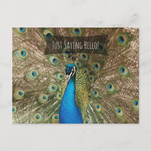 Just Sprichwort Hello Bold Peacock Foto Freundlich Postkarte (Vorderseite)