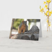 Just Sprichwort Hi | Niedliches Eichhörnchen-Foto Karte (Gelbe Blume)