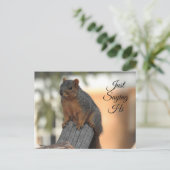 Just Sprichwort Hi | Niedliches Eichhörnchen-Foto Postkarte (Stehend Vorderseite)