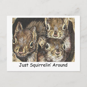 Just Squirrellin' Around Postcard Postkarte
