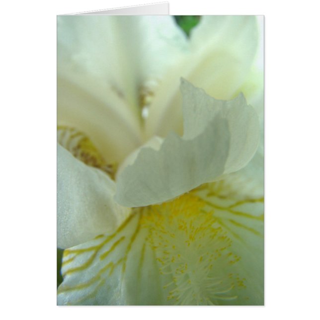 juste de tout (Vorne)