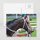 Justin Phillip erfasst den Vanderbilt Postkarte (Vorne/Hinten)