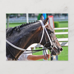 Justin Phillip erfasst den Vanderbilt Postkarte