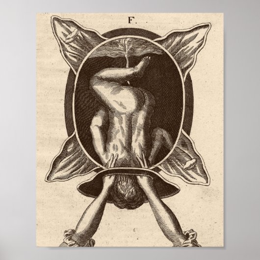 Justine Siegemund Court Midfrau Birth Illustration Poster (Vorne)