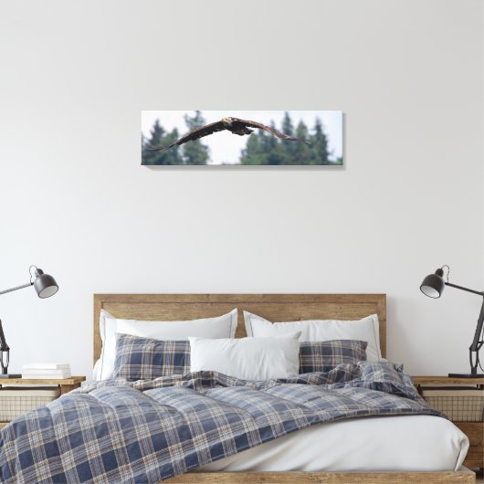 Juvenile Adler fliegen in Washington, Canvas Print Leinwanddruck (Insitu (Schlafzimmer))