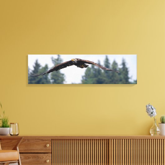 Juvenile Adler fliegen in Washington, Canvas Print Leinwanddruck (Insitu (Wohnzimmer))