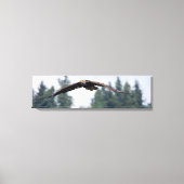 Juvenile Adler fliegen in Washington, Canvas Print Leinwanddruck (Vorderseite)