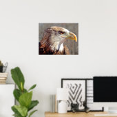 Juvenile American Bald Eagle Poster (Heimbüro)