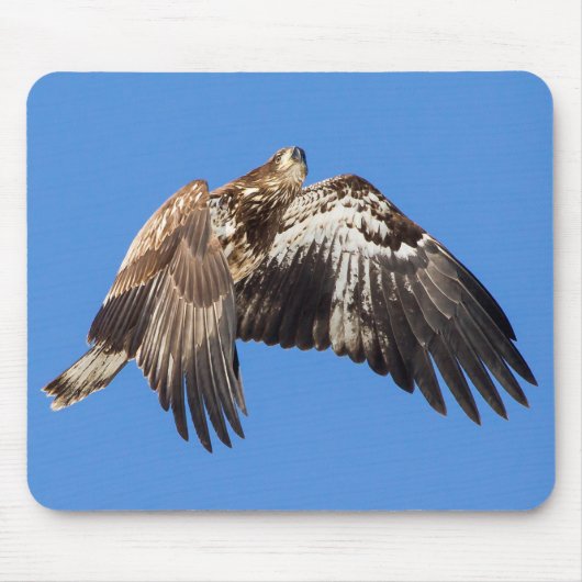 Juvenile Bald Adler im Flug Mousepad (Vorne)