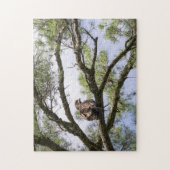 Juvenile Bald Adler in einem Kiefernbaum Puzzle (Vertikal)