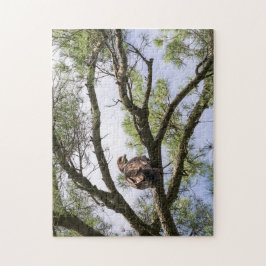 Juvenile Bald Adler in einem Kiefernbaum Puzzle