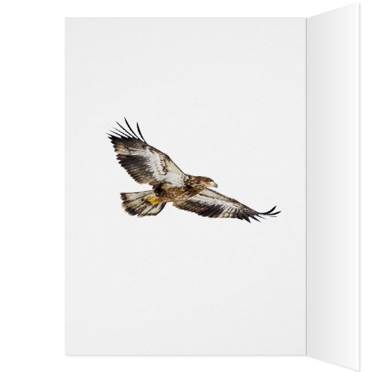 Juvenile Bald Adler und Mond (Innen (Links))