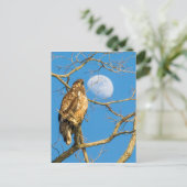 Juvenile Bald Adler und Mond Postkarte (Stehend Vorderseite)