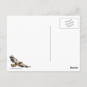 Juvenile Bald Adler und Mond Postkarte (Rückseite)